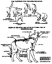 cliquer pour l image agrandie.